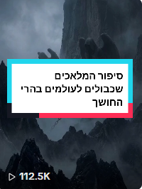 סרטון AI ויראלי של המדרשאי 13